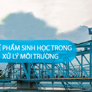 Vi Sinh Xử Lý Môi Trường